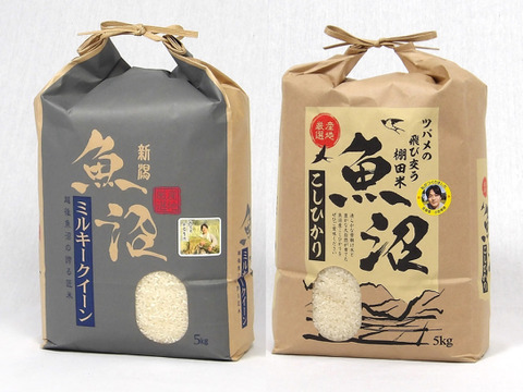 新米食べ比べセットミルキークイーン10kg&amp;コシヒカリ10kg 送料無料】コシヒカリ+ミルキークイン食べ比べセット10Kg（5Kg×2