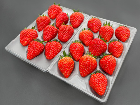 厳選いちご２種食べ比べセット　８～１１玉入り約２７０g×２パック　【化粧箱でお届けします】