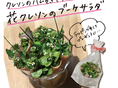 【有機認証クレソン100％】今だけの　花たっぷり詰め込みクレソン　～サラダに彩り大袋500g×2P～