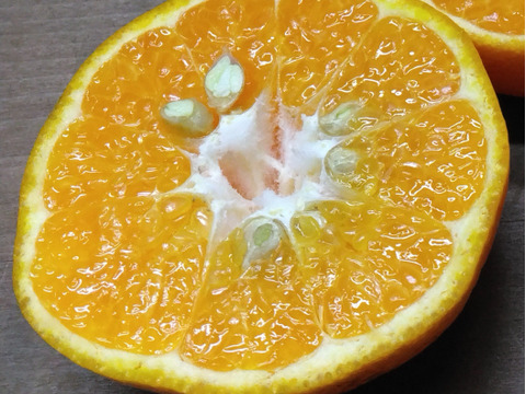 静岡県産　はるみオレンジ　約4.0㎏