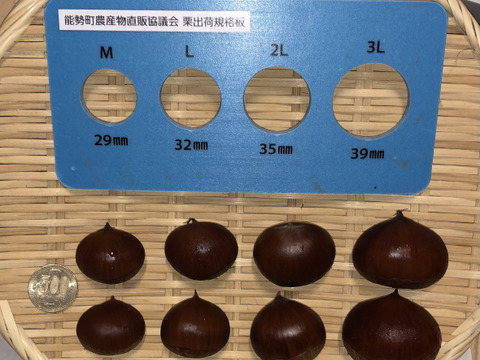甘‼️【氷温熟成】本場能勢栗“岸根（がんね）”3、4L🌰1kg