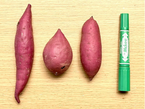 ちびちびサイズでもホックリサラリ‼︎「ゆきこまち」 2キロ箱