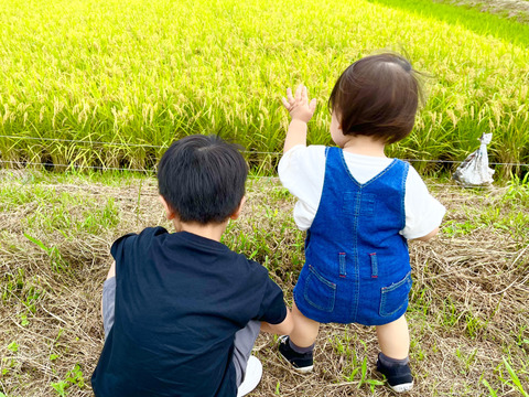 令和7年新米】鳥取県　つむぎfarm 星空舞　 白米 9kg