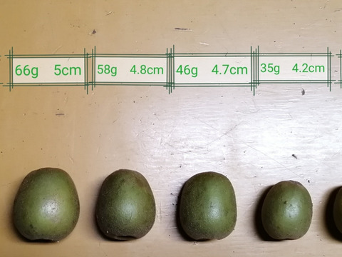 農薬不使用！【追熟済】レッドキウイ1kg