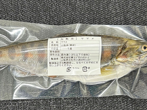 1尾からご注文可能！渓流の女王ヤマメ(１尾約120g前後)【八ヶ岳南麓の湧水育ち】