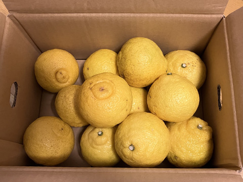 爽やかな甘み　はるか　家庭用2.5キロ