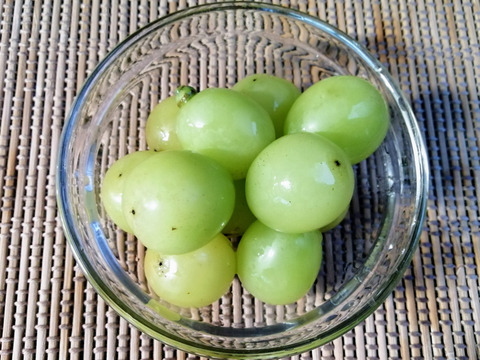 🟥訳アリご家庭用🟥🌿2024第二弾②３種🍇ぶどう詰め合わせ🌿
シャインマスカット・クイーンニーナ・巨峰/ 各種１房入♦️様々訳アリ不揃い房♦️