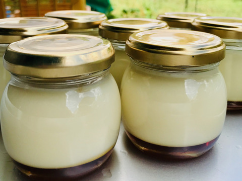 限定販売✨菊池の平飼い有精卵🥚
あっさり美味しい！！（２０個入り）✨