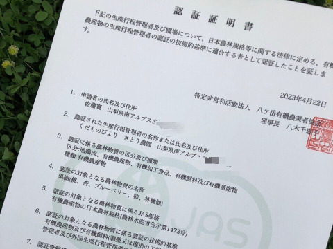 【有機JAS認証の美味しい桃約2kg（第二期）】自然に優しく希少でジューシーな天然桃(6～7個入)！