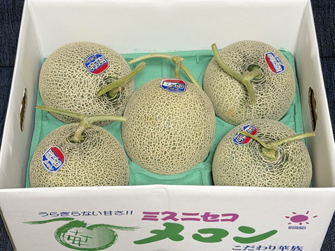 ☆訳あり赤肉メロン☆ 5〜6玉入【北海道産】：北海道産のその他メロン