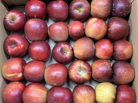 【加工用バラ詰め】紅玉＆秋映!! ハーフ スイーツ、お菓子、加工用・業務用🍎約4.5Kg青森県産