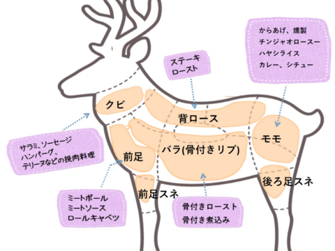 高たんぱく質！美杉ジビエ鹿肉「ロース」470ｇ