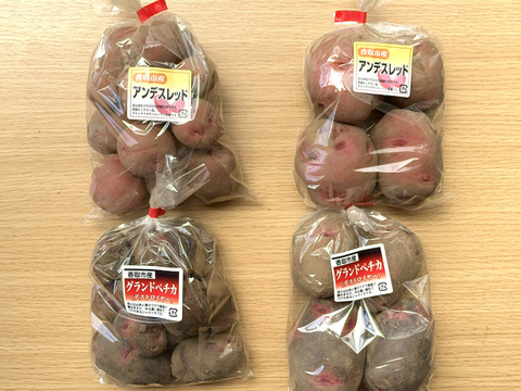 お試しに！赤色じゃがいもの食べ比べセット ２キロ箱