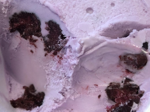 【ごろごろ果実！】贅沢ブルーベリージェラート6個