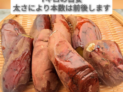 石窯焼き芋 熟成シルクスイート 4kg｜安曇野産 とろける蜜芋