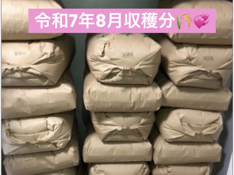 🌟令和7年新米❣高知産コシヒカリ🌾玄米30kg✨ 節減対象農薬