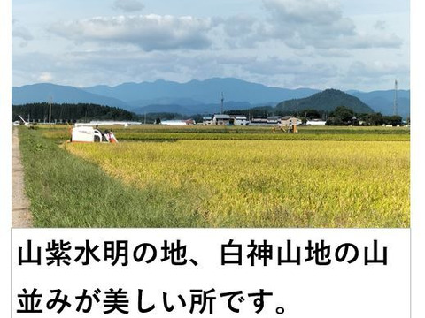 秋田のあきたこまち＜玄米＞（約5kg）【令和６年度 新米】