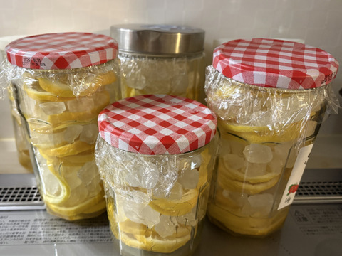 【広島県産】瀬戸田しまなみレモンAB混合品(2kg) 栽培期間中農薬不使用レモン