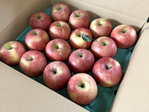★★新春セール★★🍎約１０キロ🍎レビュー数1900件突破！！葉とらずふじ【家庭用】２６玉～４３玉 青森りんご リンゴ 商品ID197581 大容量　訳あり