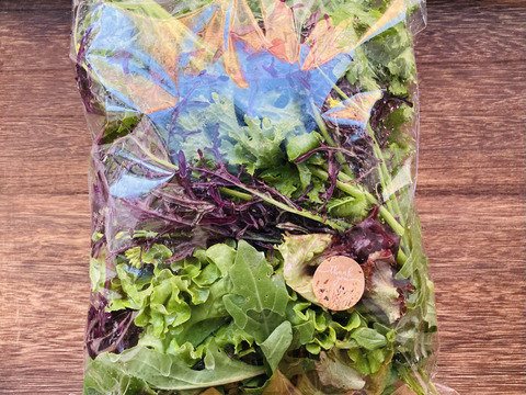 お料理の幅が広がる！ 季節の西洋野菜 Italian selection 60サイズ
