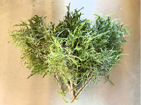 繊細な葉先が美しい ケール 約400g