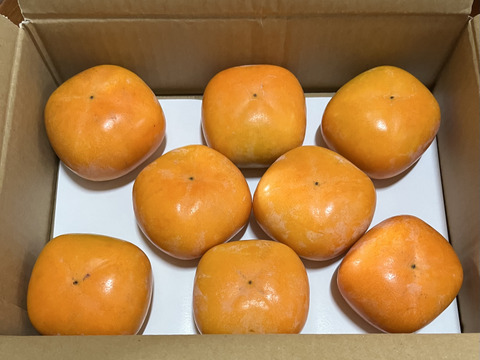 【秋の味覚】和歌山県産　たね無し柿(刀根早生)　A品2Lサイズ8個入り。
