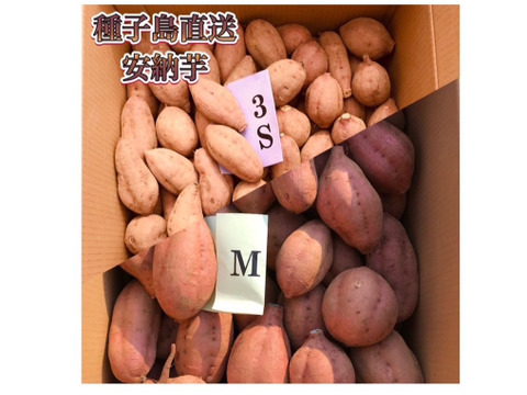 【絶品】aimo農園｜種子島産 安納芋 3S&M 混合3kg(箱別)