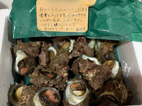 活き活き!!
小泊産天然サザエ1kg