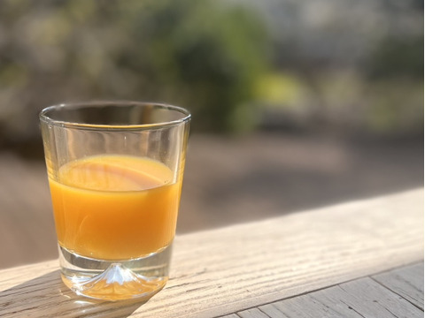 【限定40セット】大津四号100% 「もぎたて」と「熟成」飲み比べみかんジュース（720ml x 2本・ギフト箱入り)  【母の日ギフト】