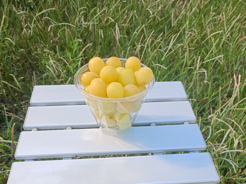 ぶどう粒5種、食べ比べセット300g×5p
(クイーンニーナ、ピオーネ、翠峰、マスカットベリーA、若木の小粒完熟シャインマスカット)