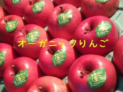 オーガニックりんご/サンふじ3キロ（有機JAS認証）