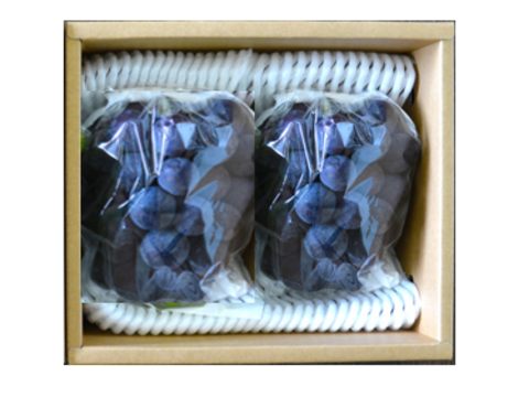 【ご家庭用】 岡山県産ニューピオーネ 2房　予約販売！8月下旬より順次発送致します。