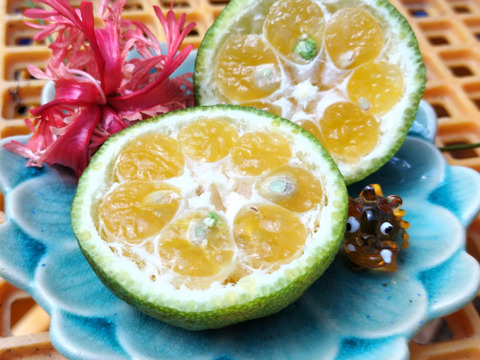 石垣島産シークワサー★ご家庭用の量★料理やジュースに！400g15個前後【収穫当日発送】