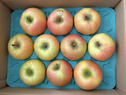 青森県産りんご　希少品種　こうこう　6個～12個　家庭用
