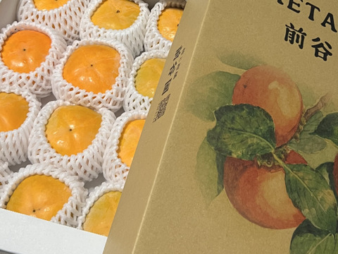 贈答用　たねなし柿　3㎏　（8〜12個入り）