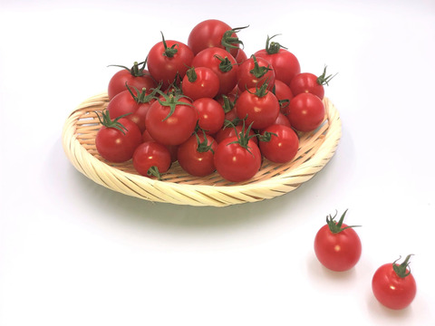 あなたのご意見、お聞かせください！甘くておいしい「きらベジトマト」3品種おためしセット。合計1.2kg以上のボリュームです！