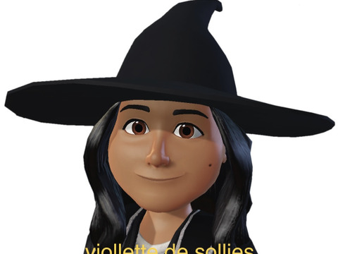 フランスの黒イチジク「ビオレソリエス」300g