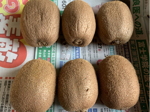 あなたはどっち派?超熟orフレッシュ?食べ比べセット 6個入(約500g)