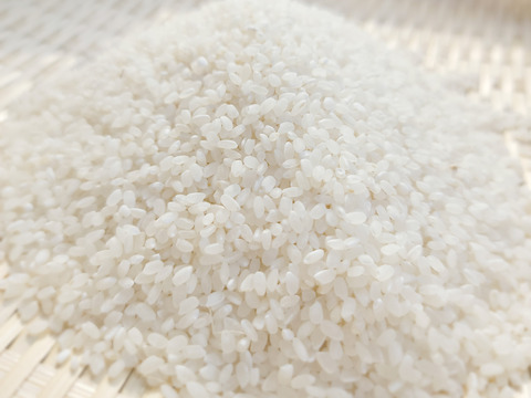 炊き上がり真っ白なお米！【奈良県産の白米】【農薬不使用・化学肥料不使用】のお米。上流にほど近い綺麗な水で育てました！（10kgの玄米を精米して、白米9kgでお届けします）