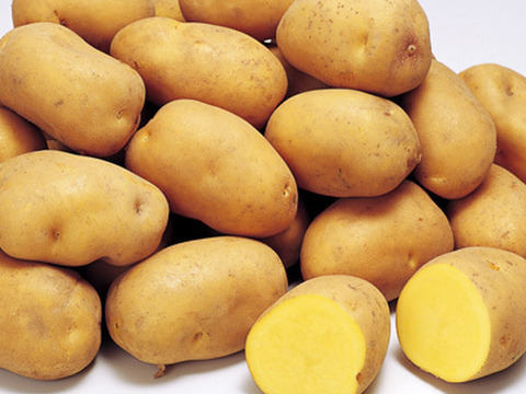 十勝こがね！６キロ！