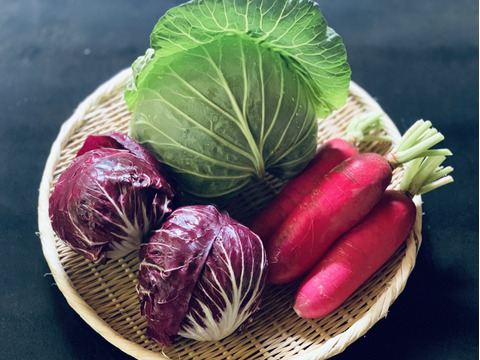 三浦市の季節の野菜セット‼︎【3品目】