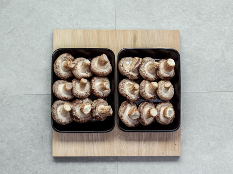 大田区で収穫！東京福しいたけ(500g・パック包装)