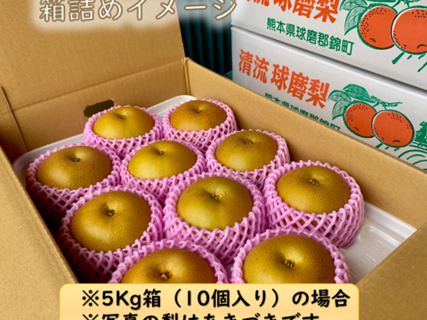 梨の王様！『清流球磨梨』新高 約10kg【5kg箱(5～14個入り)を2箱