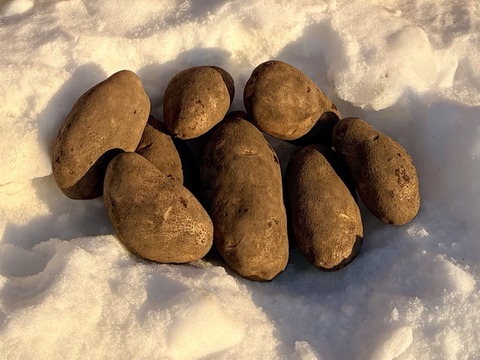 【メークイン１kg】★組み合わせ自由なセット★１kg単位でお好きな量‼️(中サイズ長芋.じゃがいも.ごぼう.玉ねぎ)