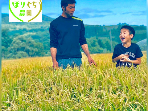 令和６年産　【白米】ツヤツヤもちもち  北海道ゆめぴりか　10kg（5kg×2）