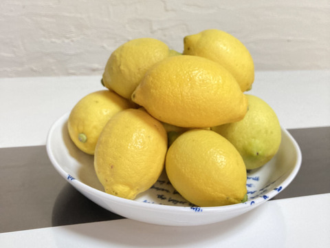 期間限定！国産レモン(A品5kg)