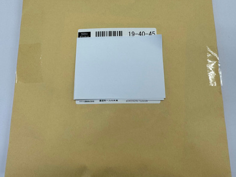 コリコリ食感がたまらない！切りぼしビーツ（30g×1袋）