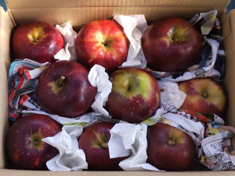 濃厚な旨さ！「秋映」極小玉　約1.8キロ【葉とらず】JA基準より60％減の低農薬栽培