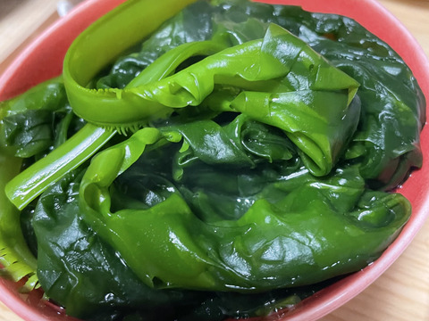 採れたて新鮮！！天然茎付き生わかめ1kg