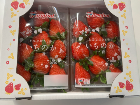 最先端の設備でおいしさをコントロール　 いちのかいちご　今冬デビュー